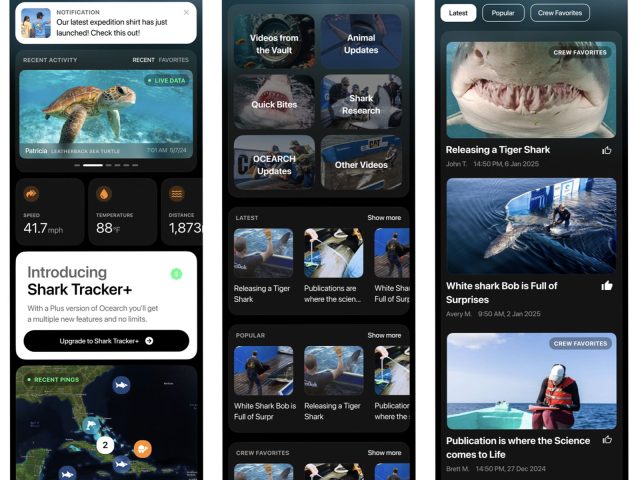 ocearch_wildlife_GPS_tracking_mobile_app1