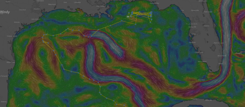 Tracking maps with weather layers